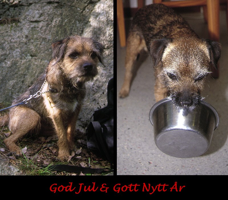Julkort 2002